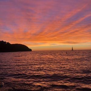 Meet your Posher, Ella